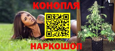 ПСИЛОЦИБИНОВЫЕ ГРИБЫ Изобильный